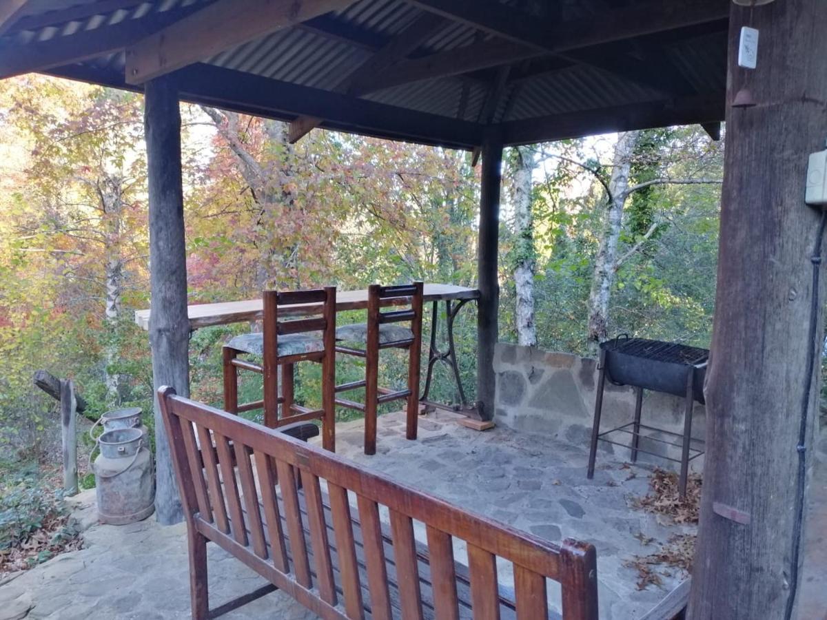 Villa Maple Grove Hogsback Exterior foto