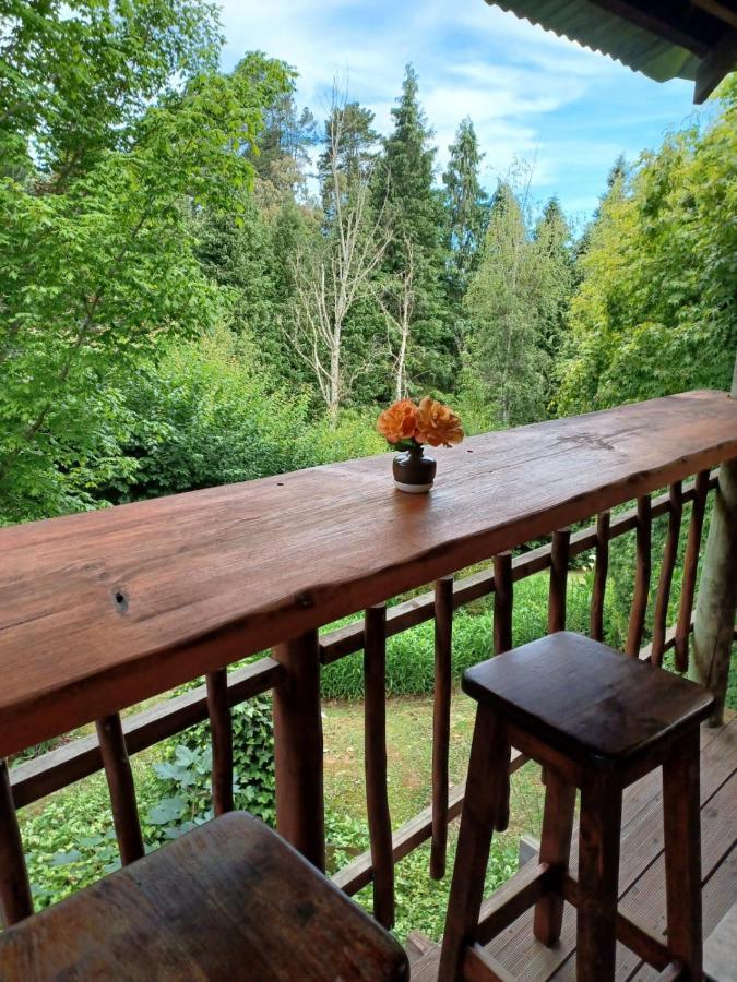 Villa Maple Grove Hogsback Exterior foto