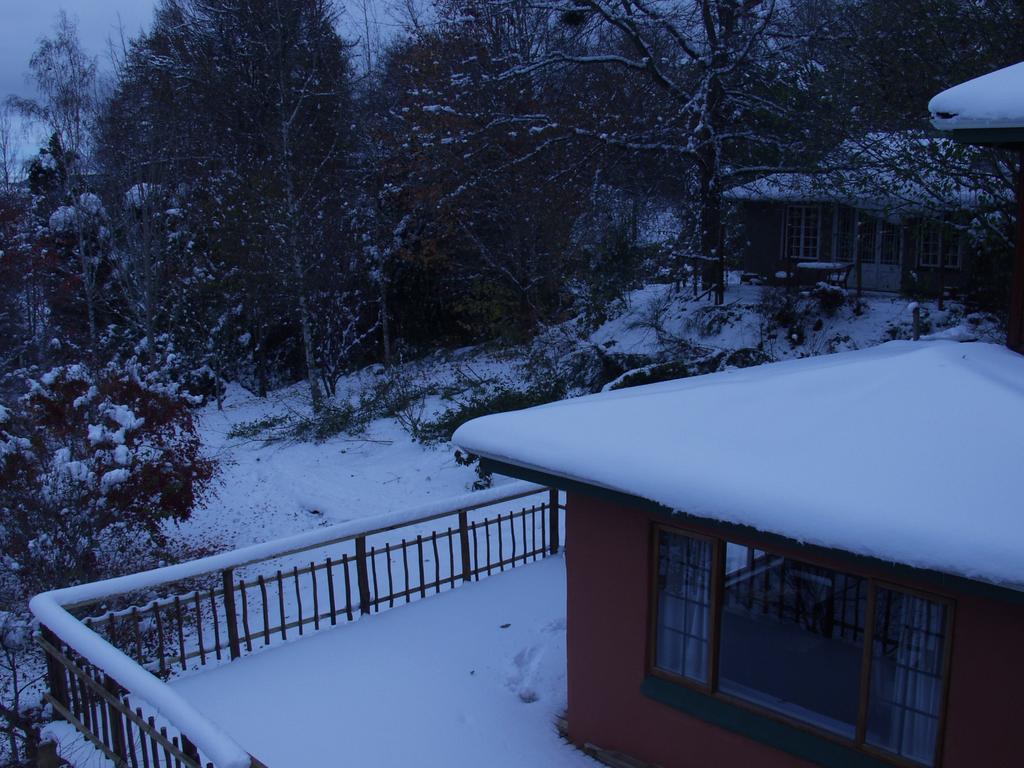 Villa Maple Grove Hogsback Zimmer foto