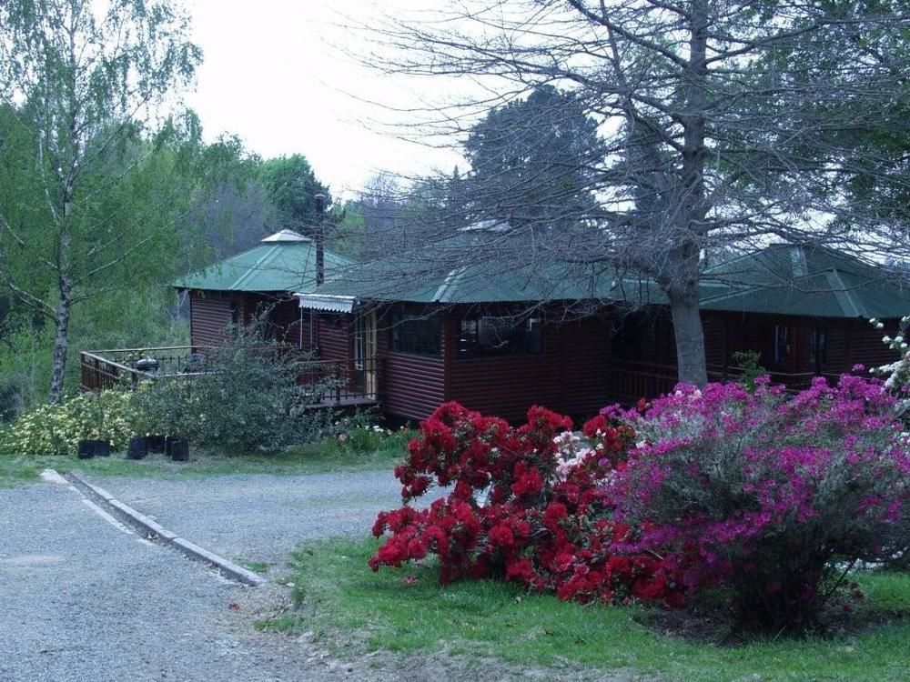 Villa Maple Grove Hogsback Exterior foto