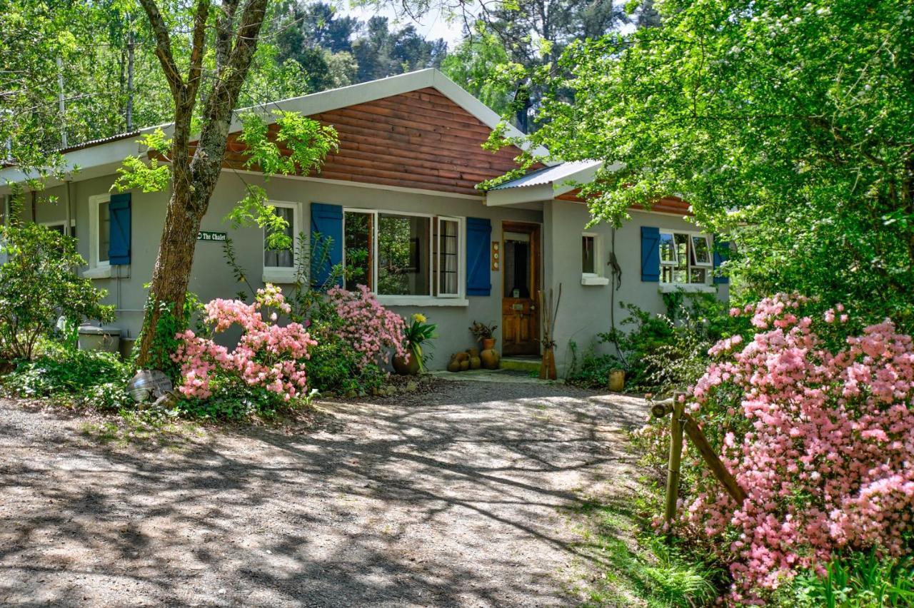 Villa Maple Grove Hogsback Exterior foto